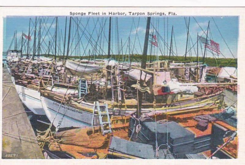 Florida Tarpon Springs Sponge Fleet In Harbor