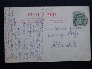 County Durham RAVENSWORTH Lady Park BANESLEY LANE c1908 Postcard by Dickinson