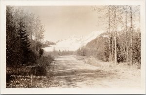 Mendenhall Glacier Alaska AK Road Unused Ordway RPPC Postcard H13