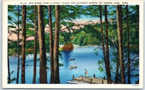 Postcard - Big Ridge Park A Great Place For Outdoor Sports On Norris Lake - TN