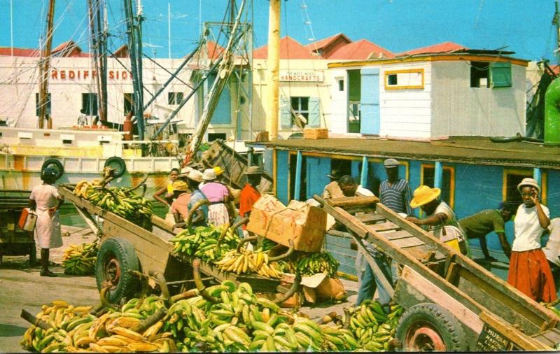 Barbados Bridgetown Careenage Scene Sorting Bananas