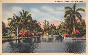 A Peaceful Scene Along New River Miami, Florida