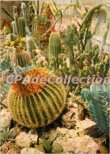 Modern Postcard The French Riviera miracle of nature Exotic Garden Sanary Ban...