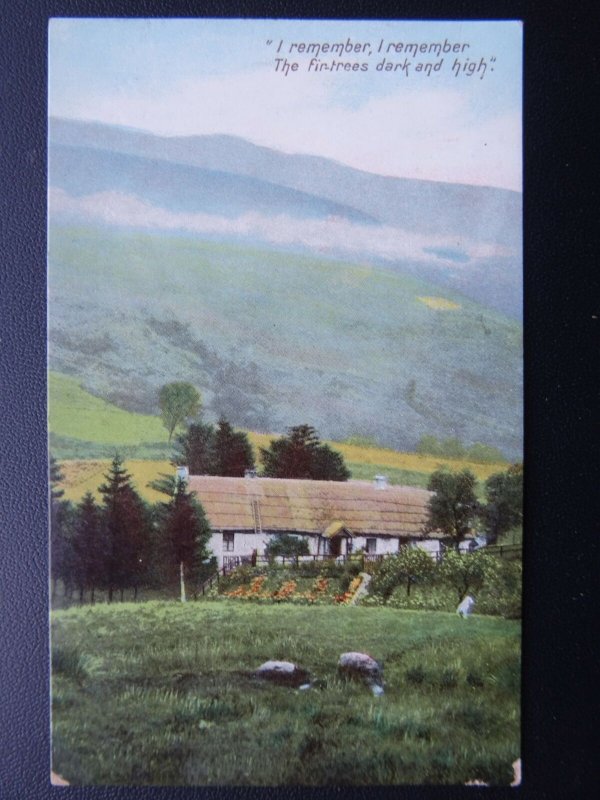Rural Life I REMEMBER THE FIR TREES DARK & HIGH Poet Thomas Hood - Old Postcard