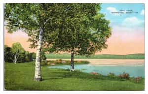 Mid-1900s Teal Lake, Ishpeming, MI Postcard