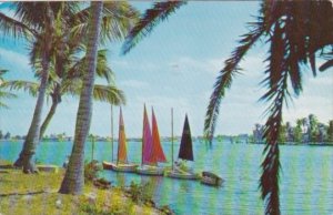Sailing Sailboats Off The Bahia Mar Yacht Basin Fort Lauderdale Florida 1955