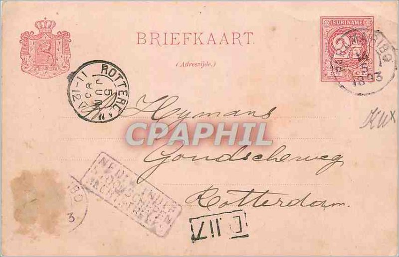 Entier Postal Suriname 1893 Rotterdam