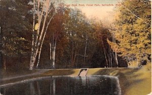 The Upper Duck Pond Springfield, Massachusetts