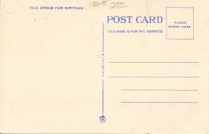 NY - Buffalo. Statler Hotel & McKinley Monument