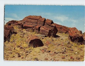 Postcard Petrified Forest National Park, Northern, Arizona