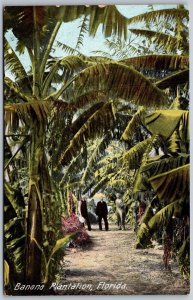 Vtg Florida FL Banana Plantation Grove Trees Tropical 1910s View Old Postcard