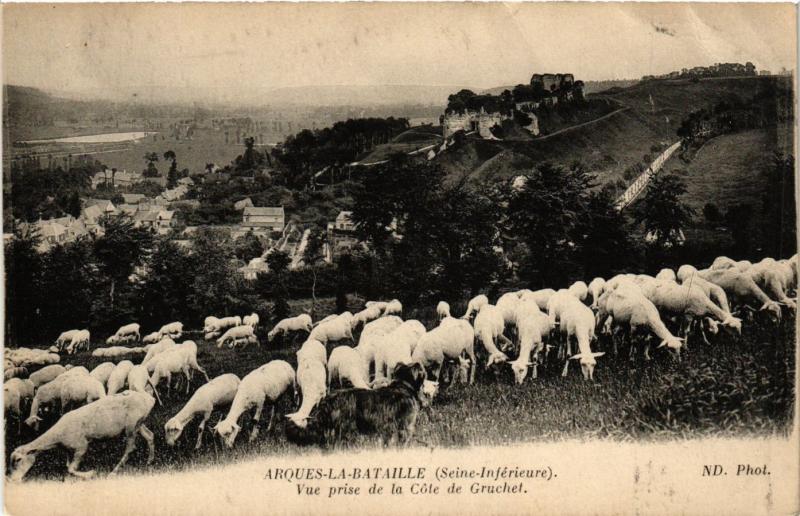 CPA ARQUES-la-BATAILLE Vue prise de la Cote de GRUCHET(347452)