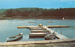 Arkport New York Lake Silver Dew Boating Area Vintage Postcard K101497