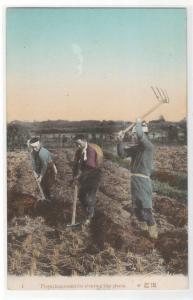 Preparing Ground for Rice Planting Farming Japan 1910c postcard