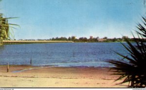 Florida Bradenton Manatee River Bridge From Palmetto