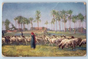 Picturesque Egypt Postcard Bedouin Shepheros Near Cairo 1907 Oilette Tuck Art