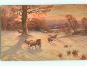 Divided-Back ANIMAL SCENE Great Postcard AA9565