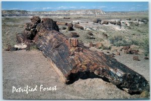 Postcard - Petrified Forest National Park - Arizona