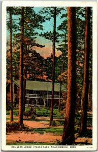 Douglas Lodge, Itasca Park, Near Bemidji MN Vintage Postcard E41