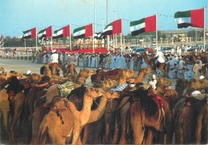 Cultures & Ethnicities United Arab Emirates National Folklore camels race 1991