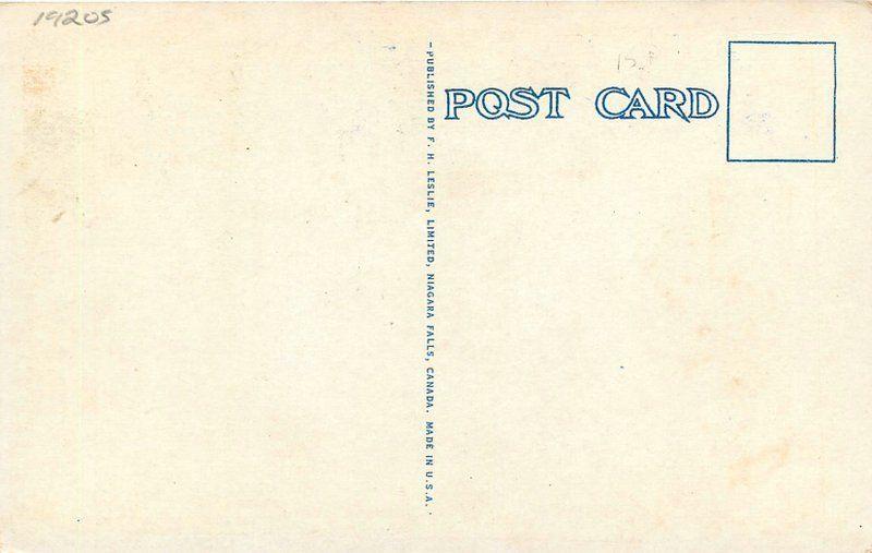 1920s Niagara Falls Canada Old Indian Worship Tower Leslie postcard 2233