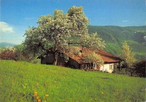 BR84933 fruhling in sudtirol austria