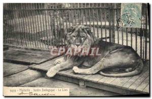 Old Postcard Marseille Lion Zoo