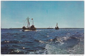 Fishing Draggers working off New Brunswick Coast,  New Brunswick, Canada, PU_...