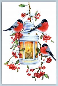 BULLFINCHES Birds on Candle Lamp Rowanberry Xmas Mood Russian New Postcard