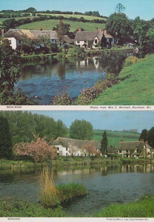 Bickleigh 2x Devon Womens Institute Postcard s Cottage Aerial etc