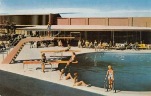 THE SANDS Las Vegas, NV Swimming Paradise Pool c1960s Chrome Vintage Postcard