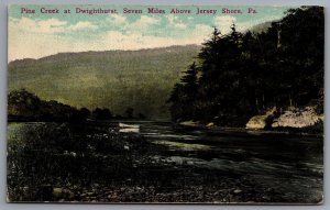 Pine Creek At Dwight Hurst Seven Miles Above Jersey Shore Pennsylvania Postcard