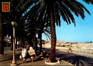 Morocco Tanger Spain Avenue