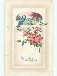 Divided-Back BIRDS SCENE Pretty Postcard AA9183