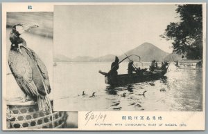 JAPAN NAGARA RIVER GIFU AYU FISHING WITH CORMORANTS ANTIQUE POSTCARD