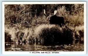 RPPC  EAR FALLS, ONTARIO Canada ~ BULL MOOSE ca 1940s Postcard