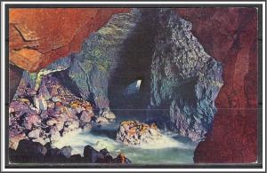Oregon, Florence Sea Lion Cave on The Coast - [OR-017]