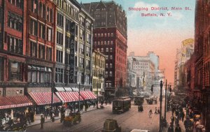 13358 Trolley Cars on Main Street Shopping District, Buffalo, New York