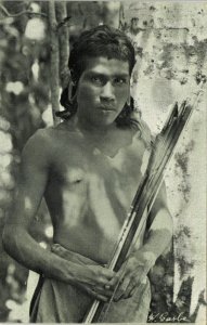 brazil, Indios Botucudos Aimoré Indians, Cacique com Orelhas Alargadas (1910s)