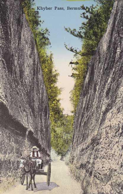 Donkey and Cart - Khyber - Kyber Pass - Bermuda - DB