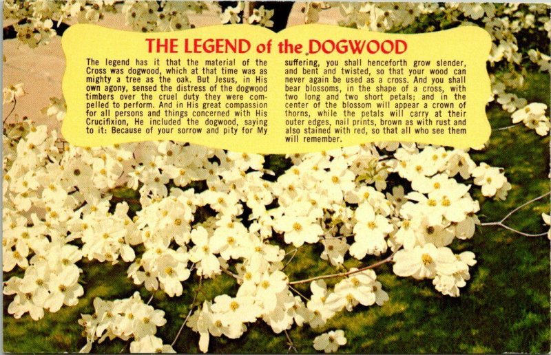 Postcard The Legend of the Dogwood Flower Jesus Christian Florida Unposted 1618