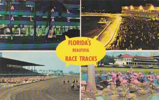 Florida's Beautiful Race Tracks Multi Views