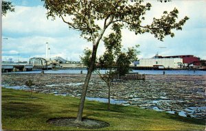 Logs in River at International Falls MN Postcard PC83