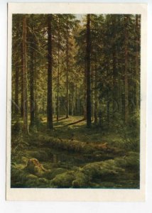 490044 USSR 1957 year Shishkin forest old postcard