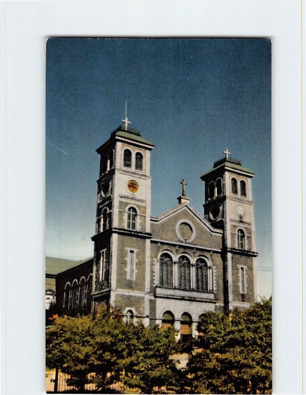 Postcard The Roman Catholic Cathedral St. Johns Canada