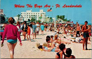 Vtg 1977 Where The Boys Are Spring Break Girls Ft Lauderdale Florida FL Postcard