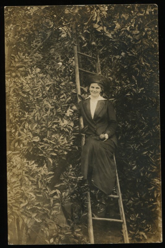 Woman on ladder, picking fruit. Early NOKO real photo postcard