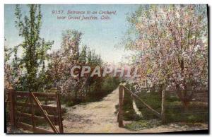 Colorado Postcard Old Orchard Entrance to year near Grand Junction