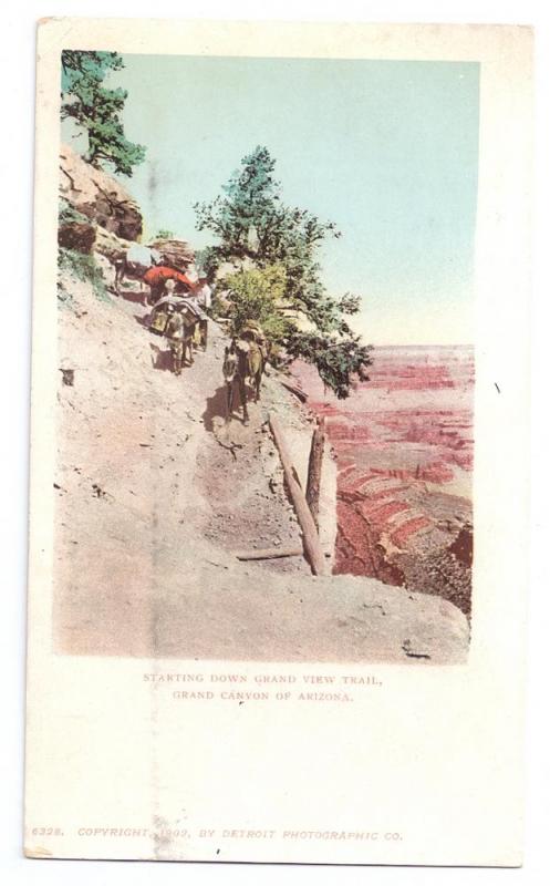 Grand View Trail Grand Canyon AZ Mules 1902 Detroit Photo