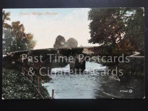 Devon: Honiton, Tracey Bridge c1909